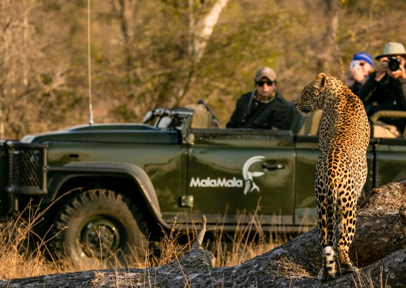 MalaMala Game Reserve